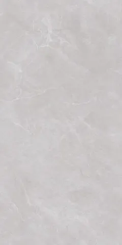 Glazed porcelain tile GTM12012, 60 x 120 cm