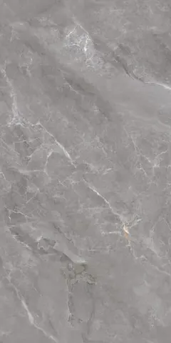 Glazed porcelain tile GTM12013, 60 x 120 cm
