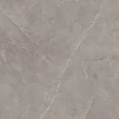 Matte porcelain tile MTM6019, 60 x 60 cm
